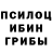 Псилоцибиновые грибы ЛСД Tea: spilt