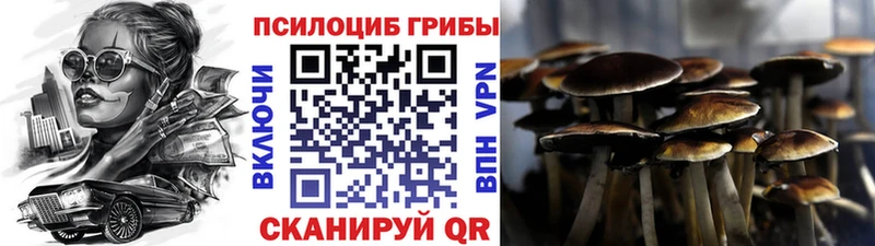 Псилоцибиновые грибы MAGIC MUSHROOMS  Сим 